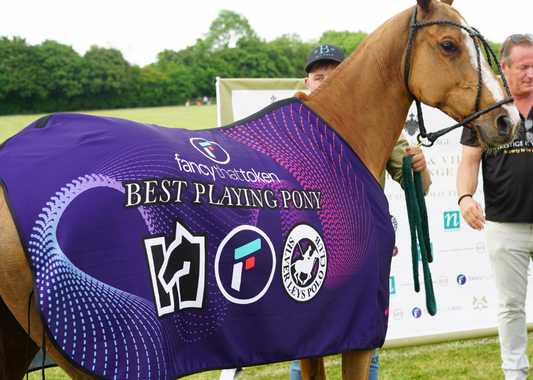 Best Playing Pony Rug